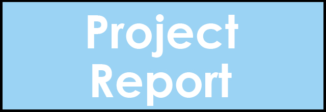 projectreport_blue